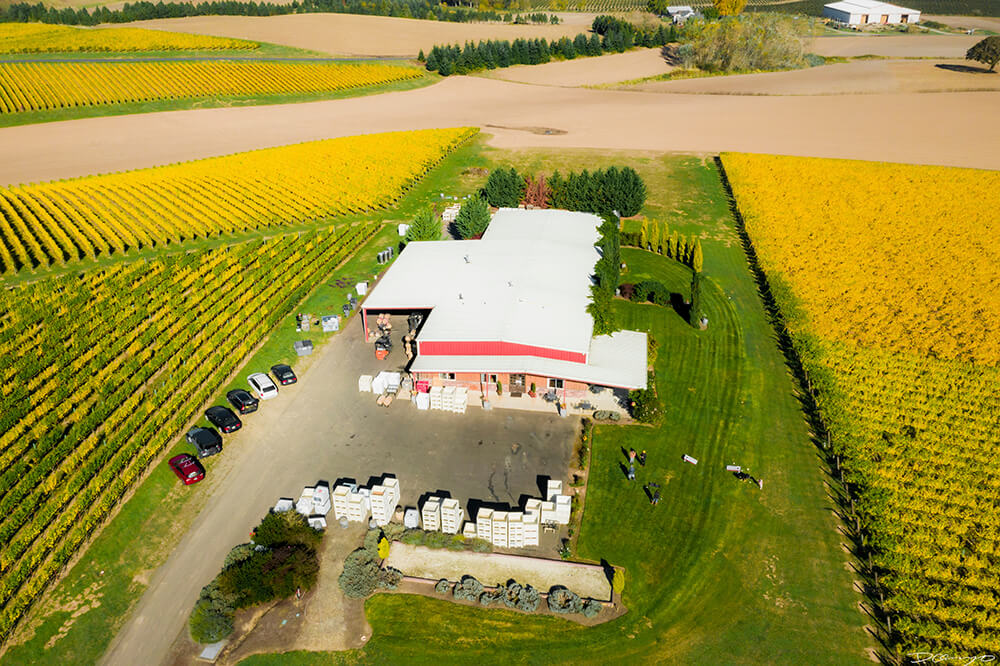 Photos with Communique Wines in McMinville, Oregon, in the Fall of 2020.